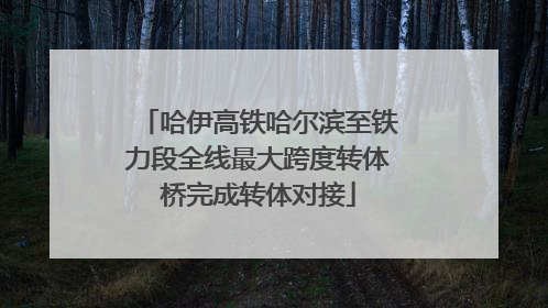 哈伊高铁哈尔滨至铁力段全线最大跨度转体桥完成转体对接