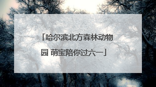 哈尔滨北方森林动物园 萌宝陪你过六一