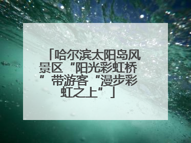 哈尔滨太阳岛风景区“阳光彩虹桥”带游客“漫步彩虹之上”