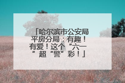 哈尔滨市公安局平房分局：有趣！有爱！这个“六一”超“警”彩！