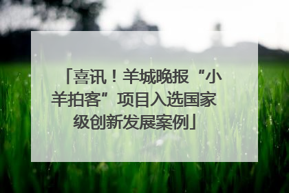 喜讯！羊城晚报“小羊拍客”项目入选国家级创新发展案例