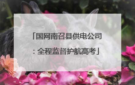 国网南召县供电公司：全程监督护航高考