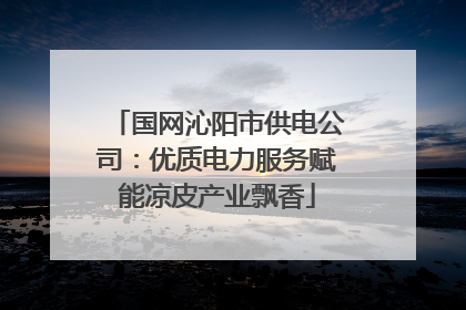 国网沁阳市供电公司：优质电力服务赋能凉皮产业飘香