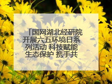 国网湖北经研院开展六五环境日系列活动 科技赋能生态保护 携手共建绿色电网