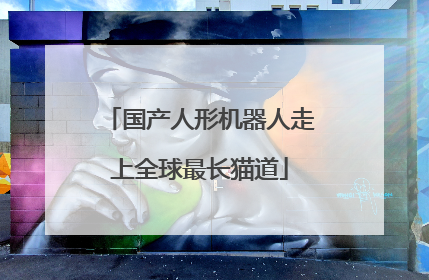 国产人形机器人走上全球最长猫道