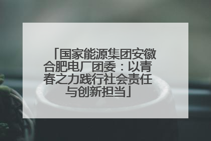 国家能源集团安徽合肥电厂团委：以青春之力践行社会责任与创新担当
