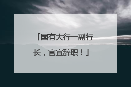国有大行一副行长，官宣辞职！