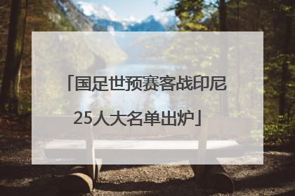 国足世预赛客战印尼25人大名单出炉