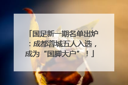 国足新一期名单出炉：成都蓉城五人入选，成为“国脚大户”！