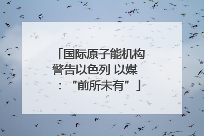 国际原子能机构警告以色列 以媒：“前所未有”