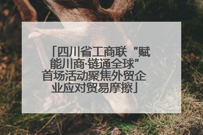 四川省工商联“赋能川商·链通全球”首场活动聚焦外贸企业应对贸易摩擦