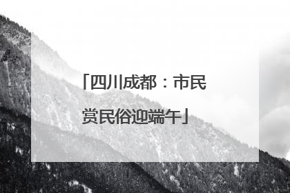 四川成都：市民赏民俗迎端午