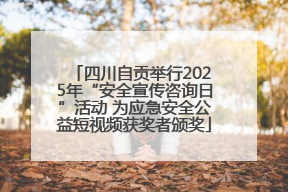 四川自贡举行2025年“安全宣传咨询日”活动 为应急安全公益短视频获奖者颁奖
