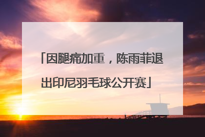 因腿痛加重，陈雨菲退出印尼羽毛球公开赛