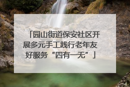 园山街道保安社区开展多元手工践行老年友好服务“四有一无”