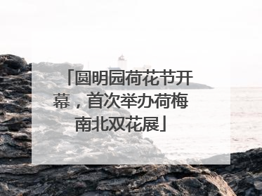 圆明园荷花节开幕，首次举办荷梅南北双花展