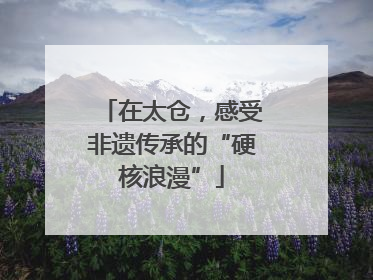 在太仓，感受非遗传承的“硬核浪漫”