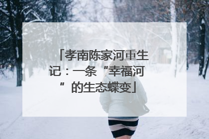 孝南陈家河重生记：一条“幸福河”的生态蝶变