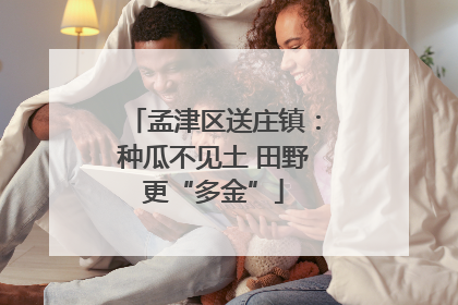 孟津区送庄镇：种瓜不见土 田野更“多金”