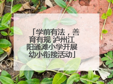 学前有法，善育有规 泸州江阳通滩小学开展幼小衔接活动