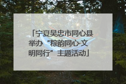 宁夏吴忠市同心县举办“粽韵同心·文明同行”主题活动
