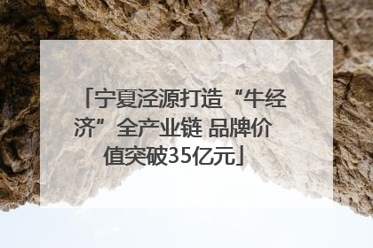 宁夏泾源打造“牛经济”全产业链 品牌价值突破35亿元