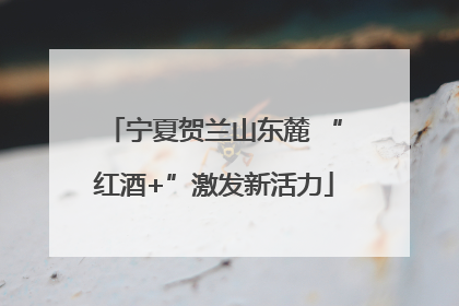 宁夏贺兰山东麓 “红酒+”激发新活力