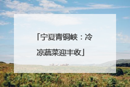 宁夏青铜峡：冷凉蔬菜迎丰收