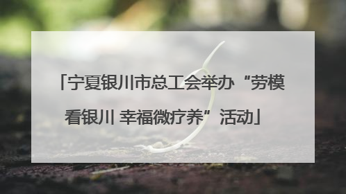 宁夏银川市总工会举办“劳模看银川 幸福微疗养”活动