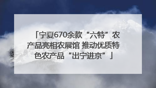 宁夏670余款“六特”农产品亮相农展馆 推动优质特色农产品“出宁进京”