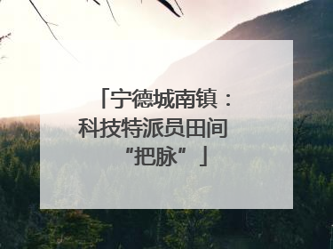 宁德城南镇：科技特派员田间“把脉”