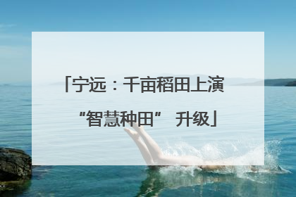 宁远：千亩稻田上演 “智慧种田” 升级