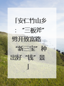 安仁竹山乡：“三板斧”劈开致富路 “新三宝”种出好“钱”景