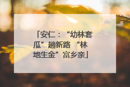 安仁：“幼林套瓜”趟新路 “林地生金”富乡亲