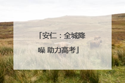 安仁：全城降噪 助力高考