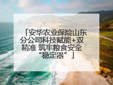 安华农业保险山东分公司科技赋能+双精准 筑牢粮食安全“稳定器”