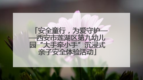 安全童行，为爱守护——西安市莲湖区第九幼儿园“大手牵小手”沉浸式亲子安全体验活动