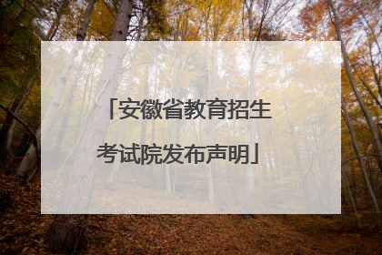 安徽省教育招生考试院发布声明