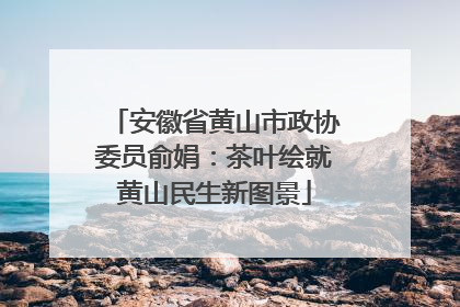 安徽省黄山市政协委员俞娟：茶叶绘就黄山民生新图景