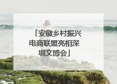 安徽乡村振兴电商联盟亮相深圳文博会