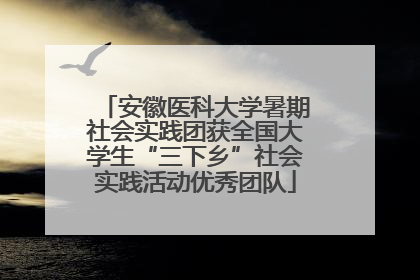 安徽医科大学暑期社会实践团获全国大学生“三下乡”社会实践活动优秀团队