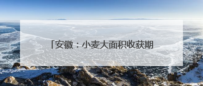 安徽：小麦大面积收获期在5月26日至6月上旬