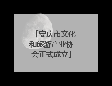 安庆市文化和旅游产业协会正式成立