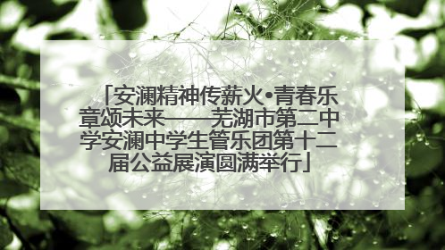 安澜精神传薪火•青春乐章颂未来——芜湖市第二中学安澜中学生管乐团第十二届公益展演圆满举行