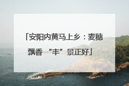 安阳内黄马上乡：麦穗飘香 “丰”景正好