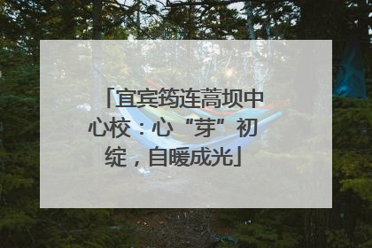宜宾筠连蒿坝中心校：心“芽”初绽，自暖成光