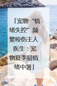 宠物“情绪失控”频繁咬伤主人 医生：宠物夏季易情绪中暑