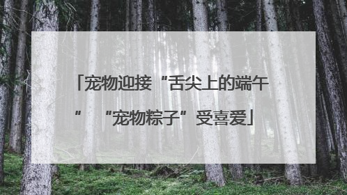宠物迎接“舌尖上的端午” “宠物粽子”受喜爱