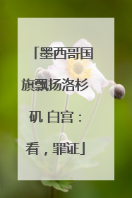 墨西哥国旗飘扬洛杉矶 白宫：看，罪证