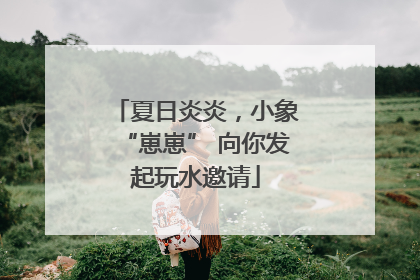 夏日炎炎，小象“崽崽” 向你发起玩水邀请